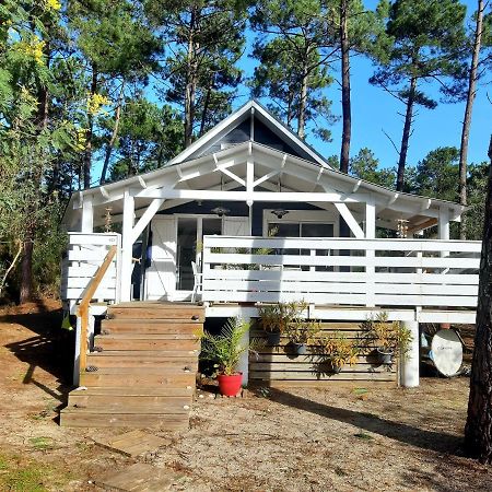Domaine Residentiel Naturiste De La Jenny Chalet 6 Pers Villa Le Porge Eksteriør billede